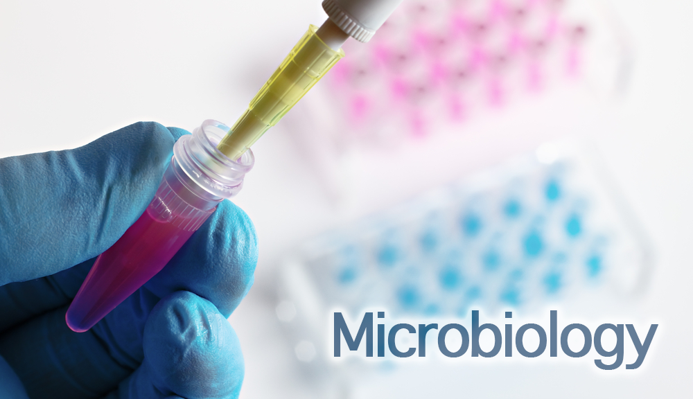 Microbiology Testing | Precision Analytical Laboratories